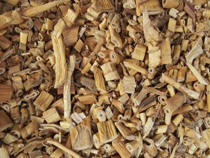 20頁:藥材照片 20頁:藥材照片